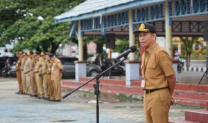 Likekaltara.com