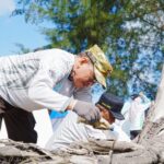 Likekaltara.com