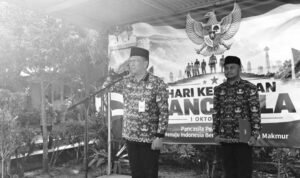 Likekaltara.com
