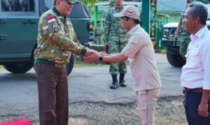 Likekaltara.com